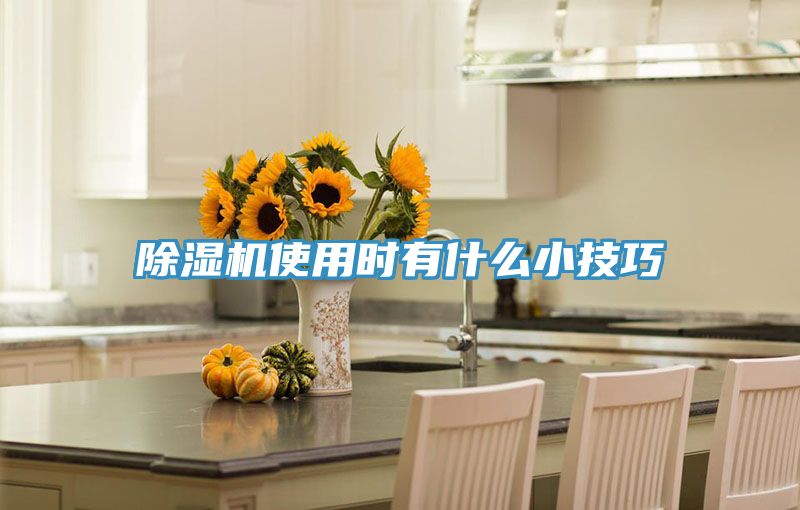 MR.好色破解版使用时有什么小技巧