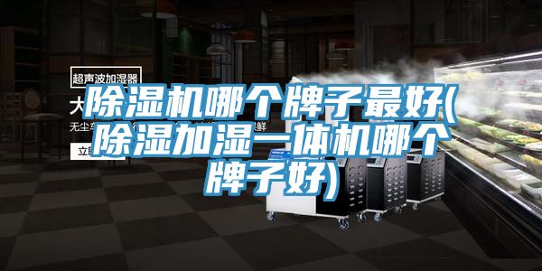 MR.好色破解版哪个牌子最好(除湿加湿一体机哪个牌子好)