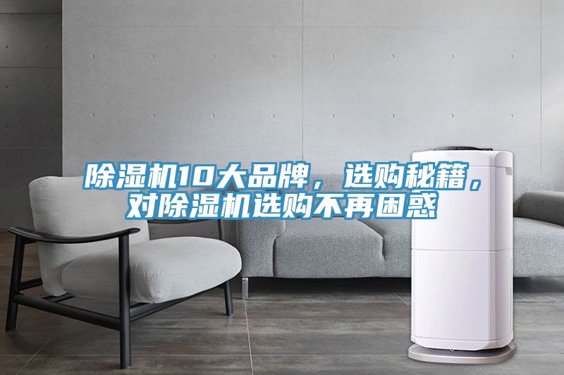 MR.好色破解版10大品牌，选购秘籍，对MR.好色破解版选购不再困惑