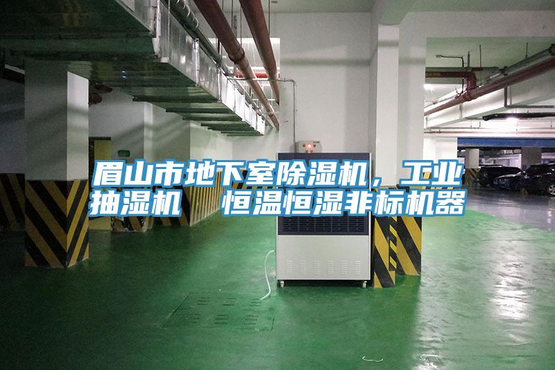 眉山市地下室MR.好色破解版，工业抽湿机  恒温恒湿非标机器