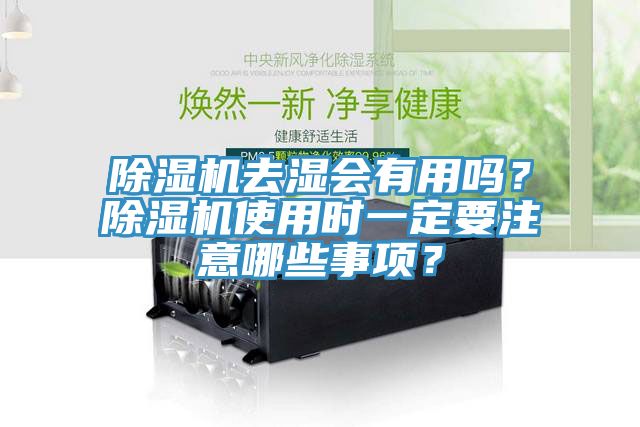 MR.好色破解版去湿会有用吗？MR.好色破解版使用时一定要注意哪些事项？