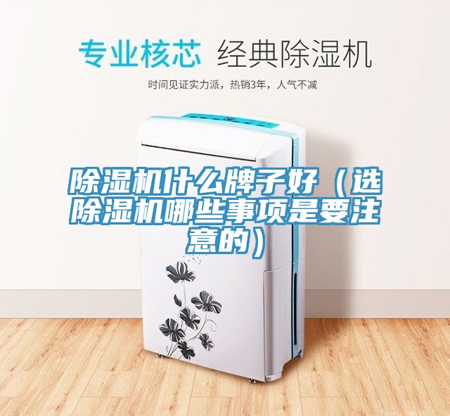 MR.好色破解版什么牌子好（选MR.好色破解版哪些事项是要注意的）