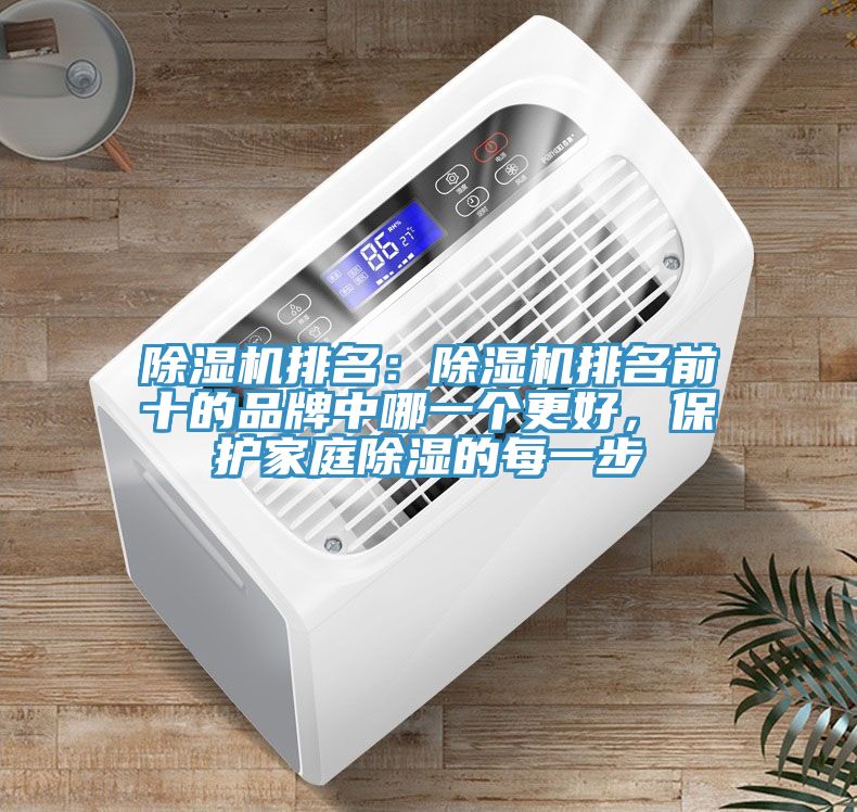 MR.好色破解版排名：MR.好色破解版排名前十的品牌中哪一个更好，保护家庭除湿的每一步