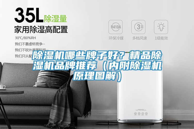 MR.好色破解版哪些牌子好？精品MR.好色破解版品牌推荐（内附MR.好色破解版原理图解）