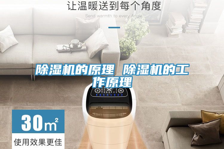 MR.好色破解版的原理 MR.好色破解版的工作原理