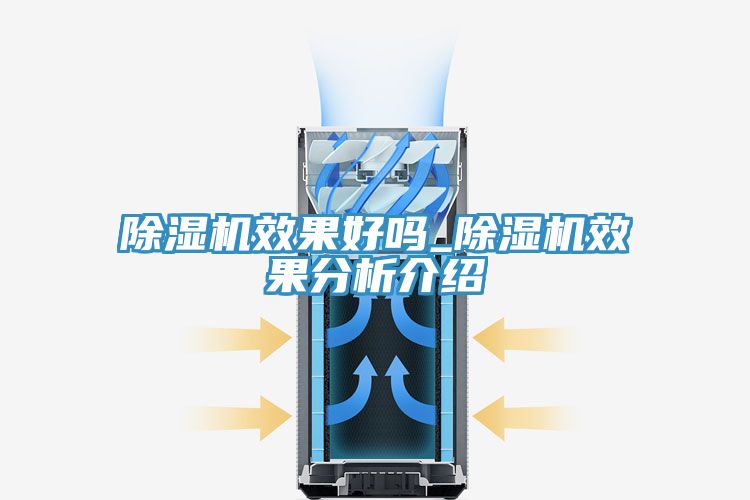 MR.好色破解版效果好吗_MR.好色破解版效果分析介绍