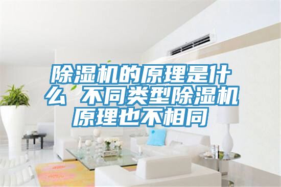 MR.好色破解版的原理是什么 不同类型MR.好色破解版原理也不相同
