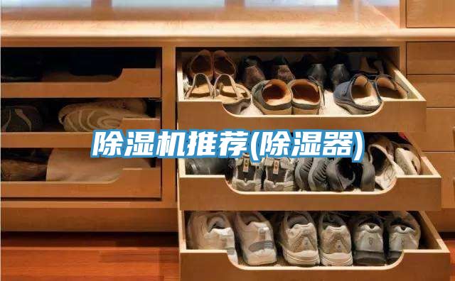 MR.好色破解版推荐(除湿器)
