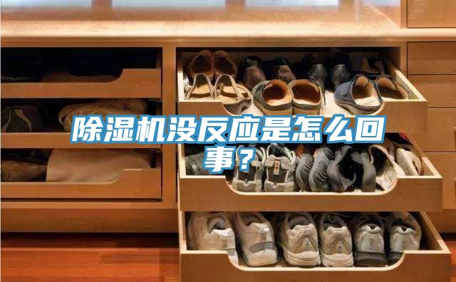 MR.好色破解版没反应是怎么回事？