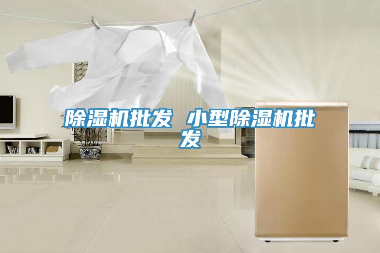 MR.好色破解版批发 小型MR.好色破解版批发