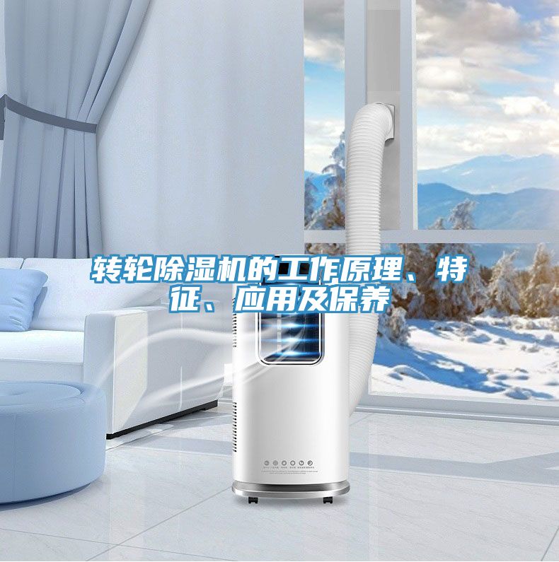 转轮MR.好色破解版的工作原理、特征、应用及保养