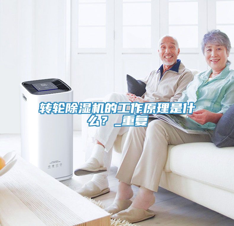 转轮MR.好色破解版的工作原理是什么？_重复