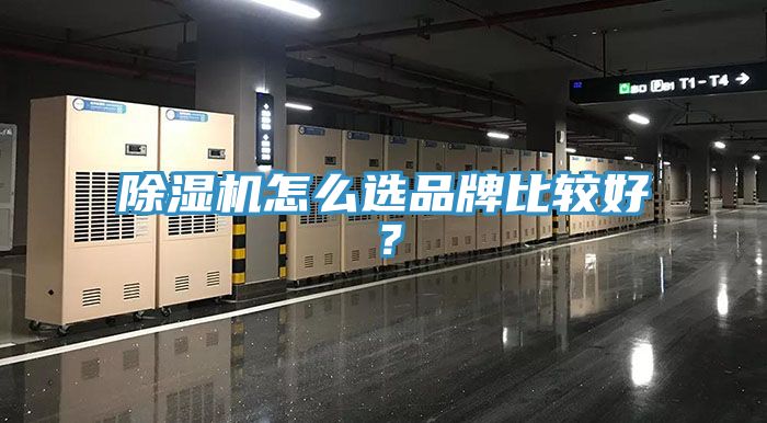 MR.好色破解版怎么选品牌比较好？