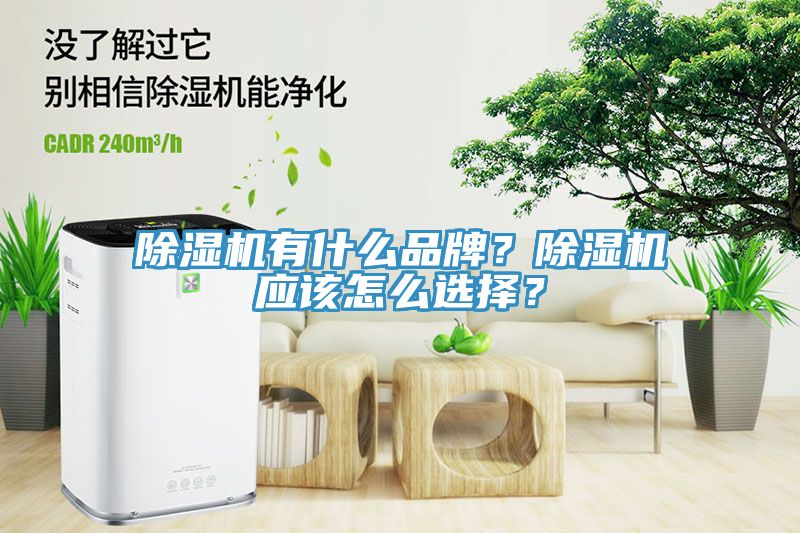MR.好色破解版有什么品牌？MR.好色破解版应该怎么选择？