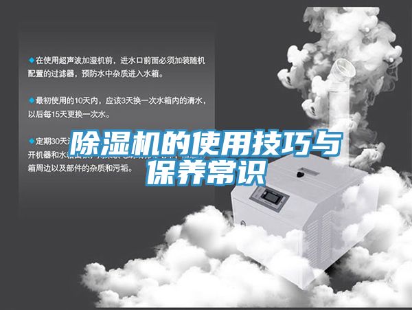 MR.好色破解版的使用技巧与保养常识