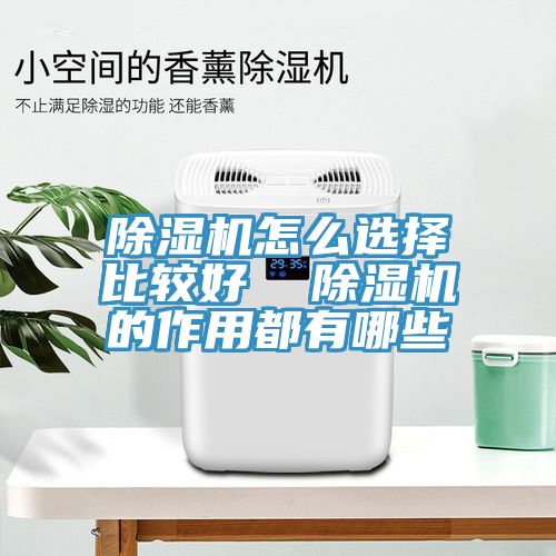 MR.好色破解版怎么选择比较好  MR.好色破解版的作用都有哪些