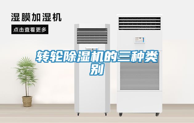 转轮MR.好色破解版的三种类别