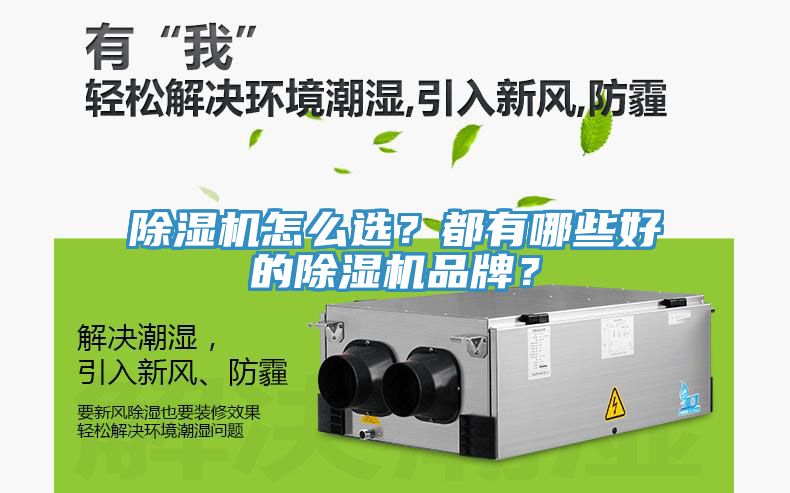 MR.好色破解版怎么选？都有哪些好的MR.好色破解版品牌？