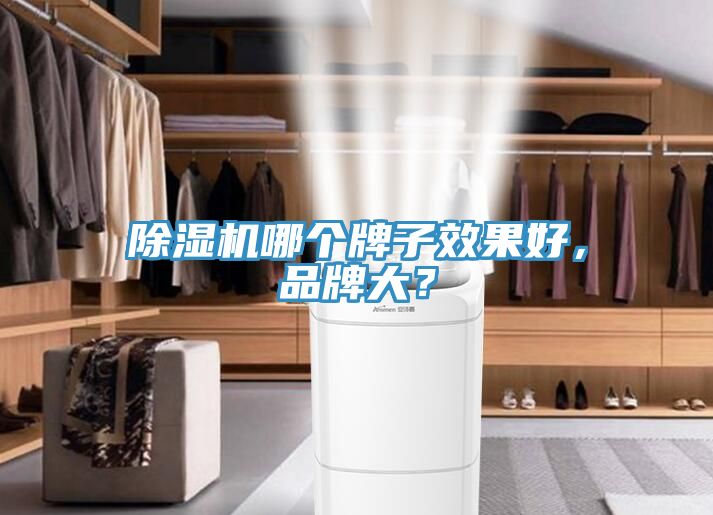 MR.好色破解版哪个牌子效果好，品牌大？