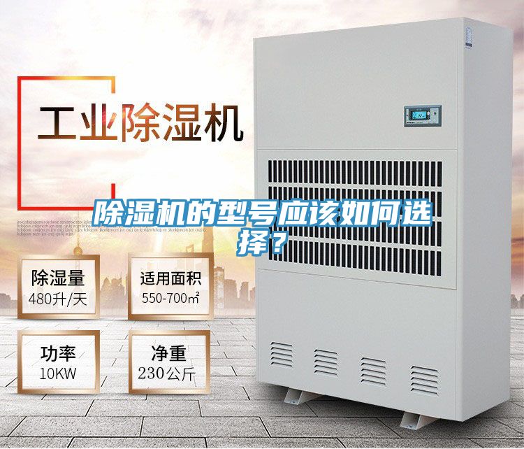 MR.好色破解版的型号应该如何选择？