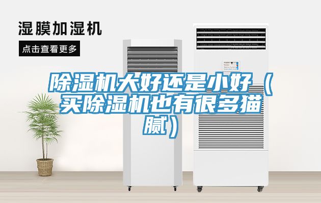 MR.好色破解版大好还是小好（买MR.好色破解版也有很多猫腻）