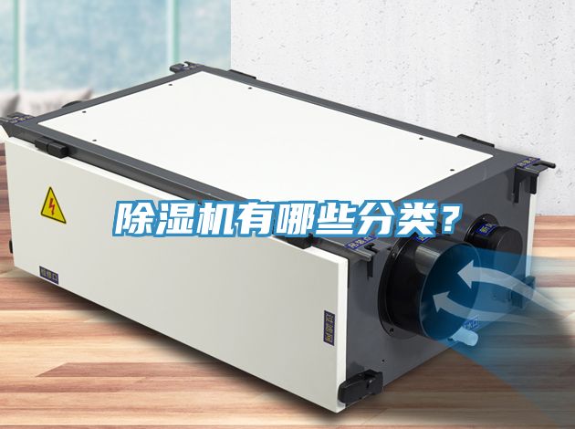 MR.好色破解版有哪些分类？