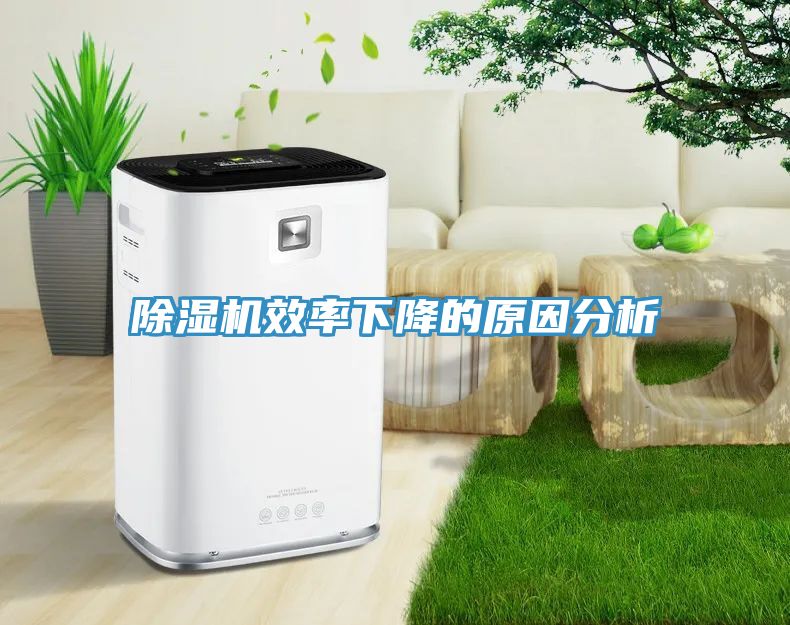 MR.好色破解版效率下降的原因分析