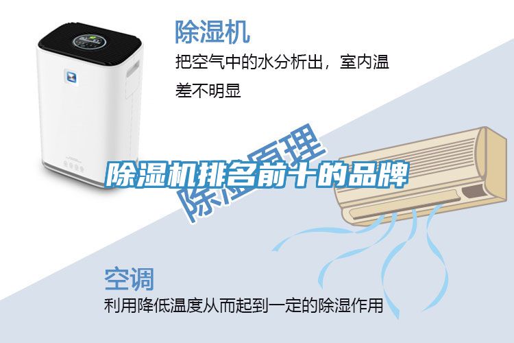 MR.好色破解版排名前十的品牌