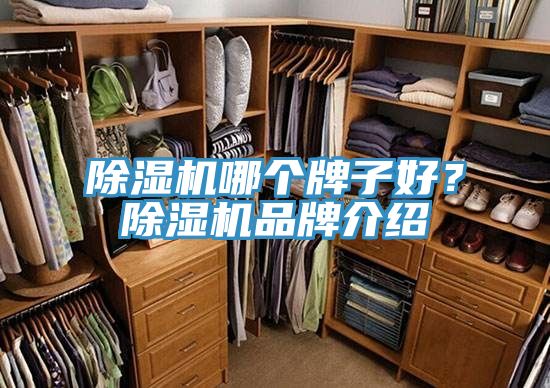 MR.好色破解版哪个牌子好？MR.好色破解版品牌介绍