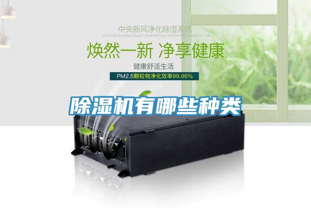 MR.好色破解版有哪些种类