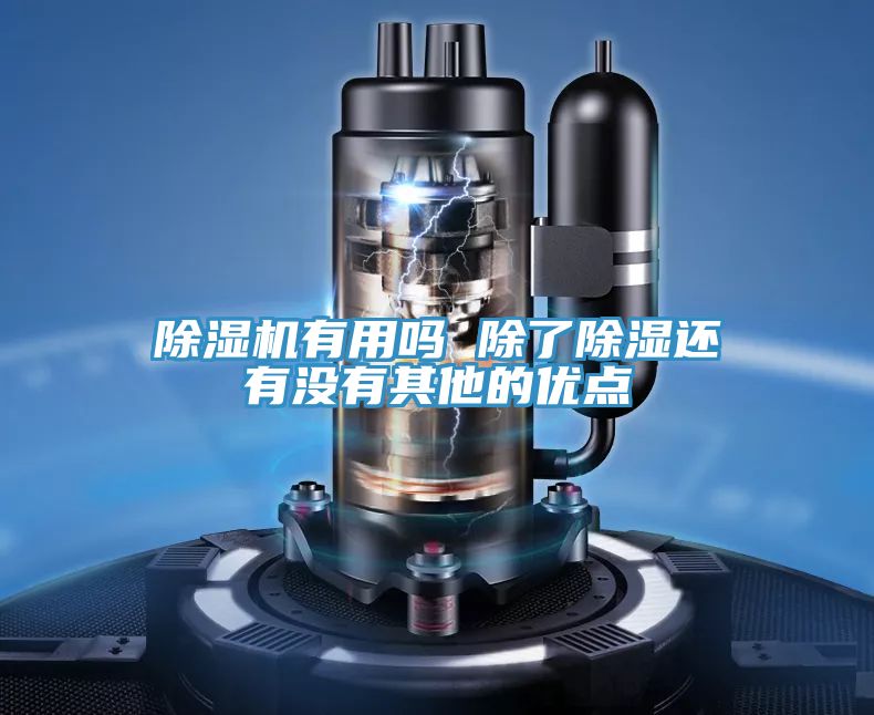 MR.好色破解版有用吗 除了除湿还有没有其他的优点
