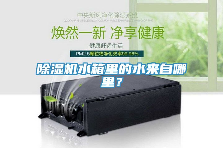 MR.好色破解版水箱里的水来自哪里？
