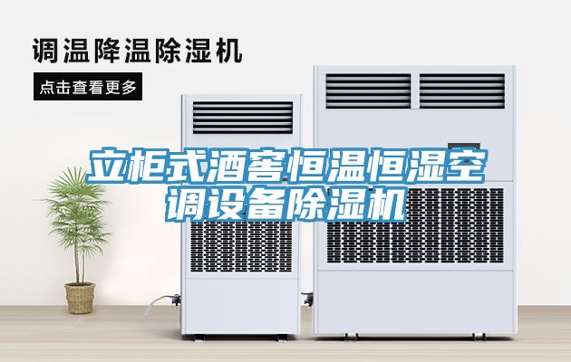 立柜式酒窖恒温恒湿空调设备MR.好色破解版