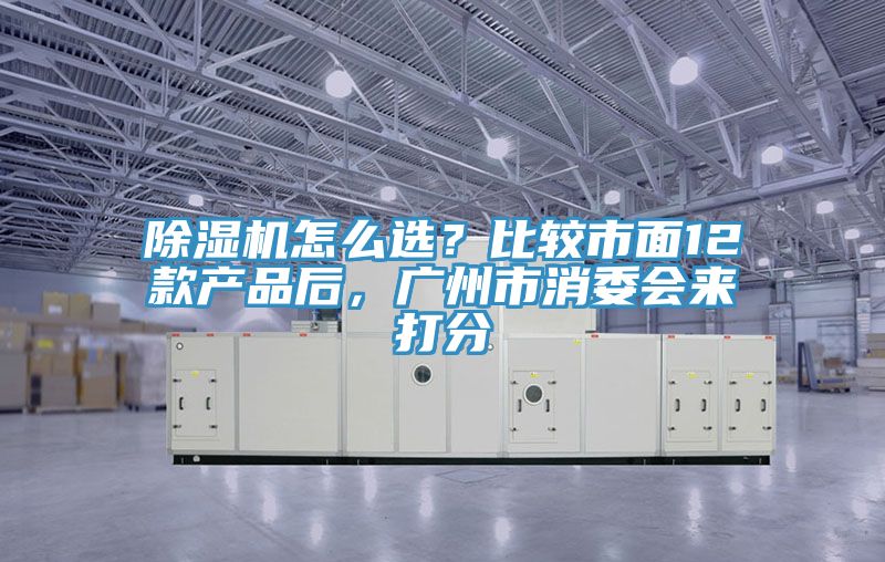 MR.好色破解版怎么选？比较市面12款产品后，广州市消委会来打分