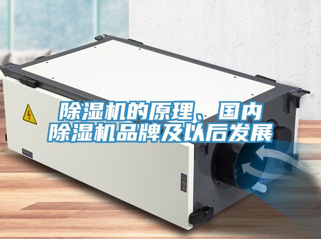 MR.好色破解版的原理、国内MR.好色破解版品牌及以后发展
