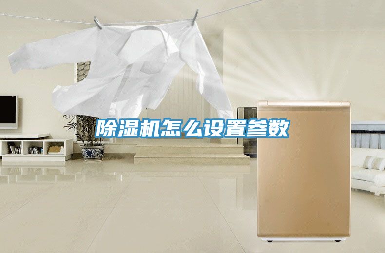 MR.好色破解版怎么设置参数