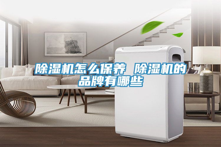 MR.好色破解版怎么保养 MR.好色破解版的品牌有哪些