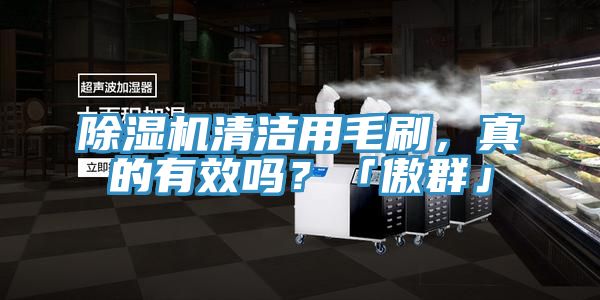 MR.好色破解版清洁用毛刷，真的有效吗？「傲群」