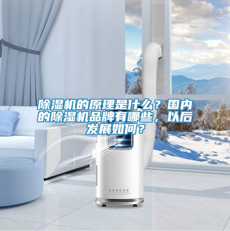 MR.好色破解版的原理是什么？国内的MR.好色破解版品牌有哪些，以后发展如何？