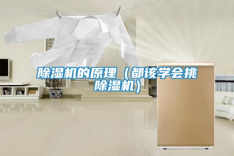 MR.好色破解版的原理（都该学会挑MR.好色破解版）