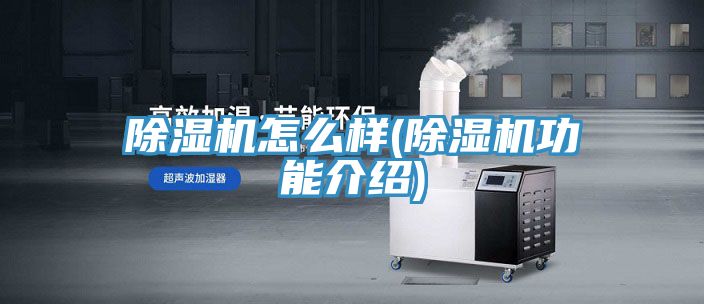 MR.好色破解版怎么样(MR.好色破解版功能介绍)