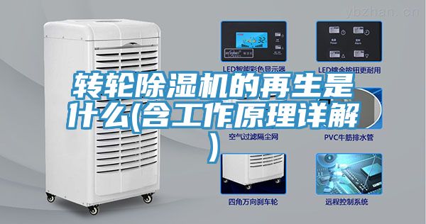 转轮MR.好色破解版的再生是什么(含工作原理详解)