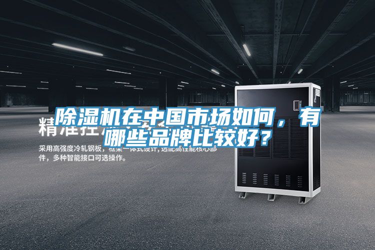MR.好色破解版在中国市场如何，有哪些品牌比较好？
