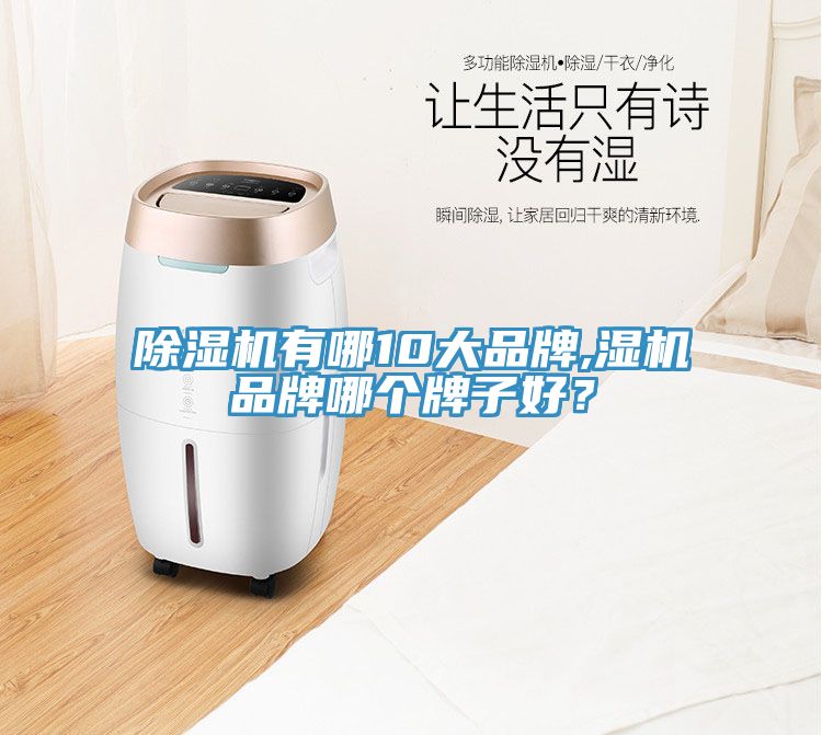 MR.好色破解版有哪10大品牌,湿机品牌哪个牌子好？