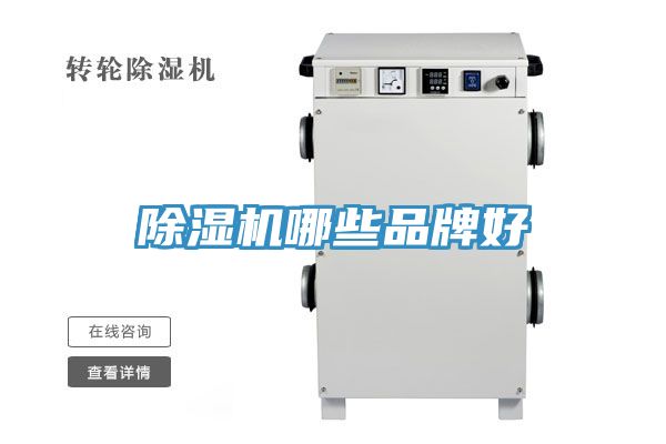 MR.好色破解版哪些品牌好