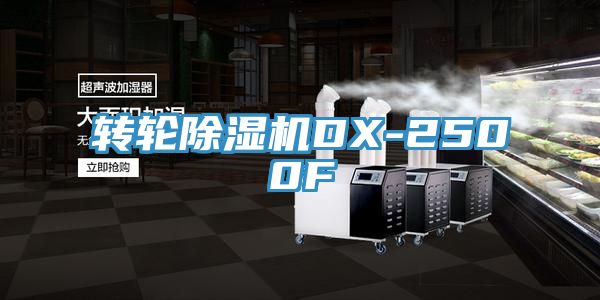 转轮MR.好色破解版DX-2500F