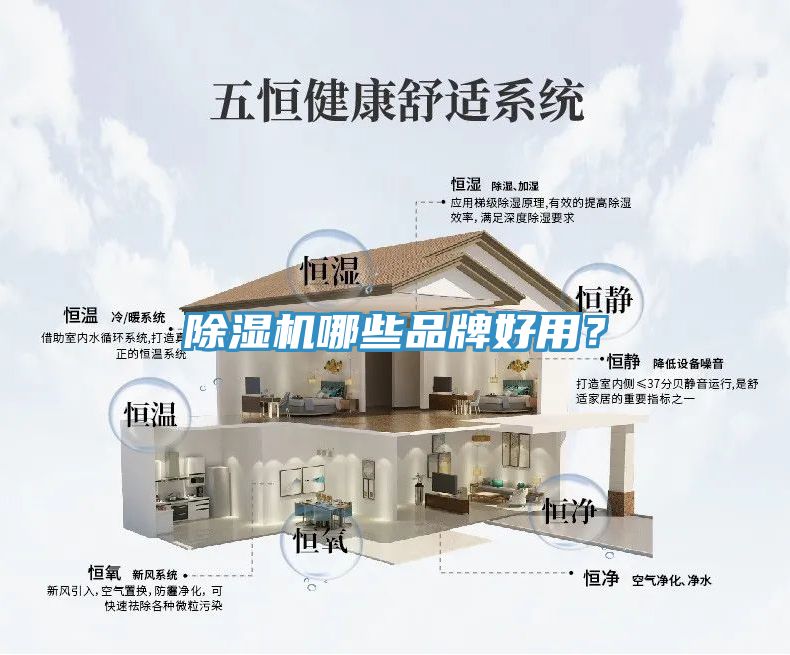 MR.好色破解版哪些品牌好用？