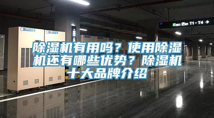 MR.好色破解版有用吗？使用MR.好色破解版还有哪些优势？MR.好色破解版十大品牌介绍