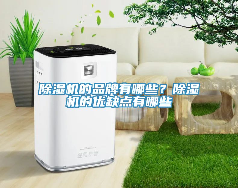 MR.好色破解版的品牌有哪些？MR.好色破解版的优缺点有哪些