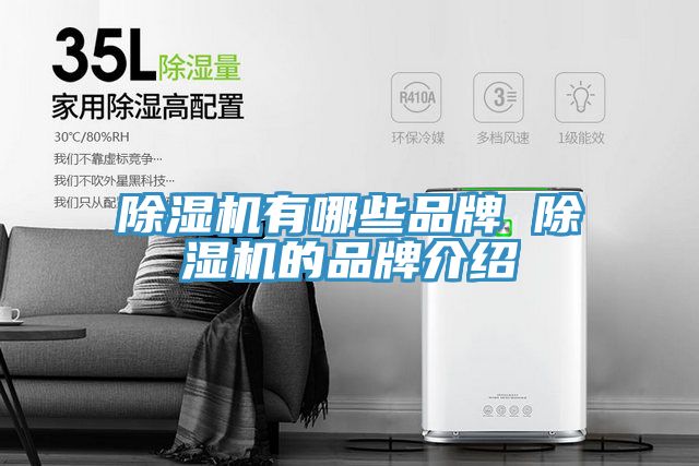 MR.好色破解版有哪些品牌 MR.好色破解版的品牌介绍